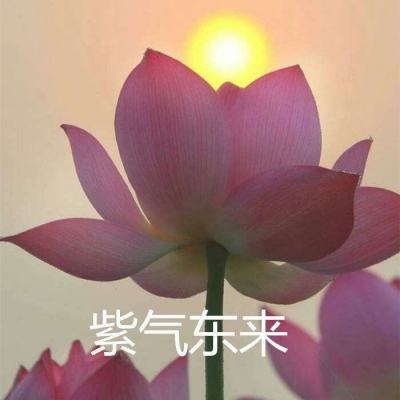 萌军天下手机最新版下载